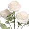 18.5" Cabbage Rose Deluxe Bush by Ashland®